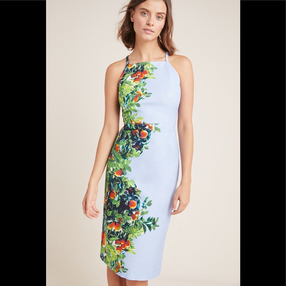 ANTHROPOLOGIE MAEVE Orange Bough Sheath Dress Sz 6P